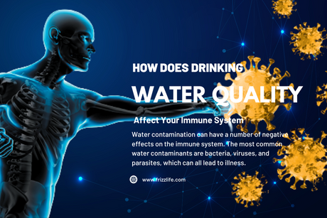How Does Drinking Water Quality Affect Your Immune System